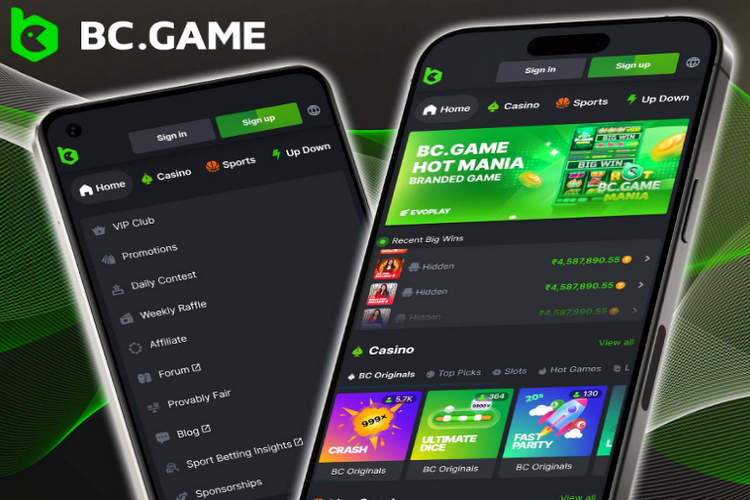 Panduan Lengkap Memahami BC.Game ID