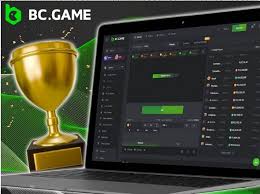 Understanding BC.Game Bonuses A Comprehensive Guide -180933811