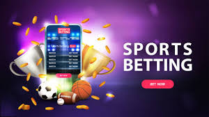 All You Need to Know About Paradise 8 Casino
